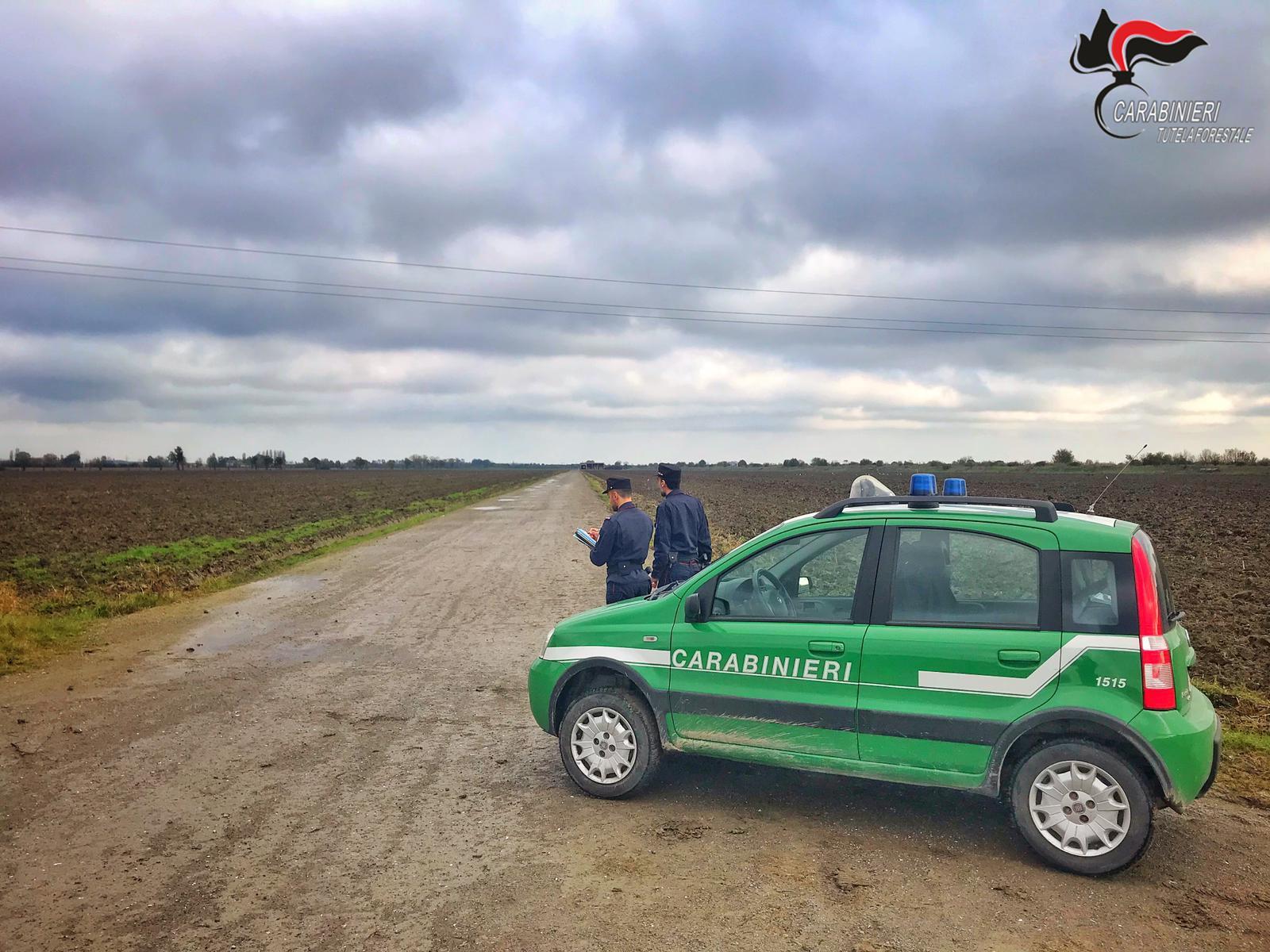 La strada realizzata con il Concrete Green a Novellara