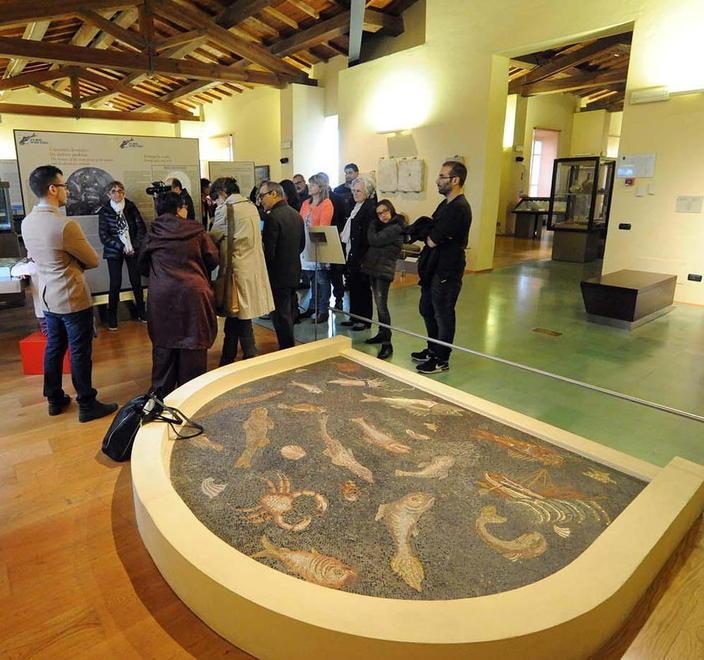 Il Mosaico dei Pesci è tornato nel museo di Cittadella 