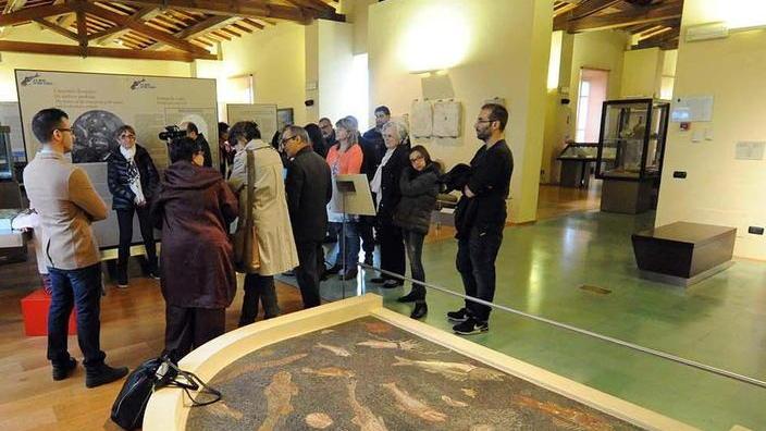 Il Mosaico dei Pesci è tornato nel museo di Cittadella
