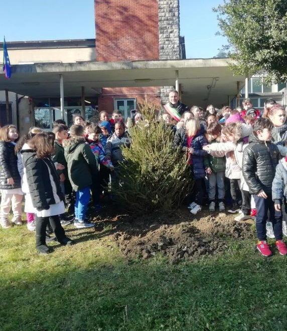 L’albero di Natale piantato nel giardino della scuola a Valchiusa