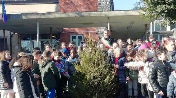 L’albero di Natale piantato nel giardino della scuola a Valchiusa
