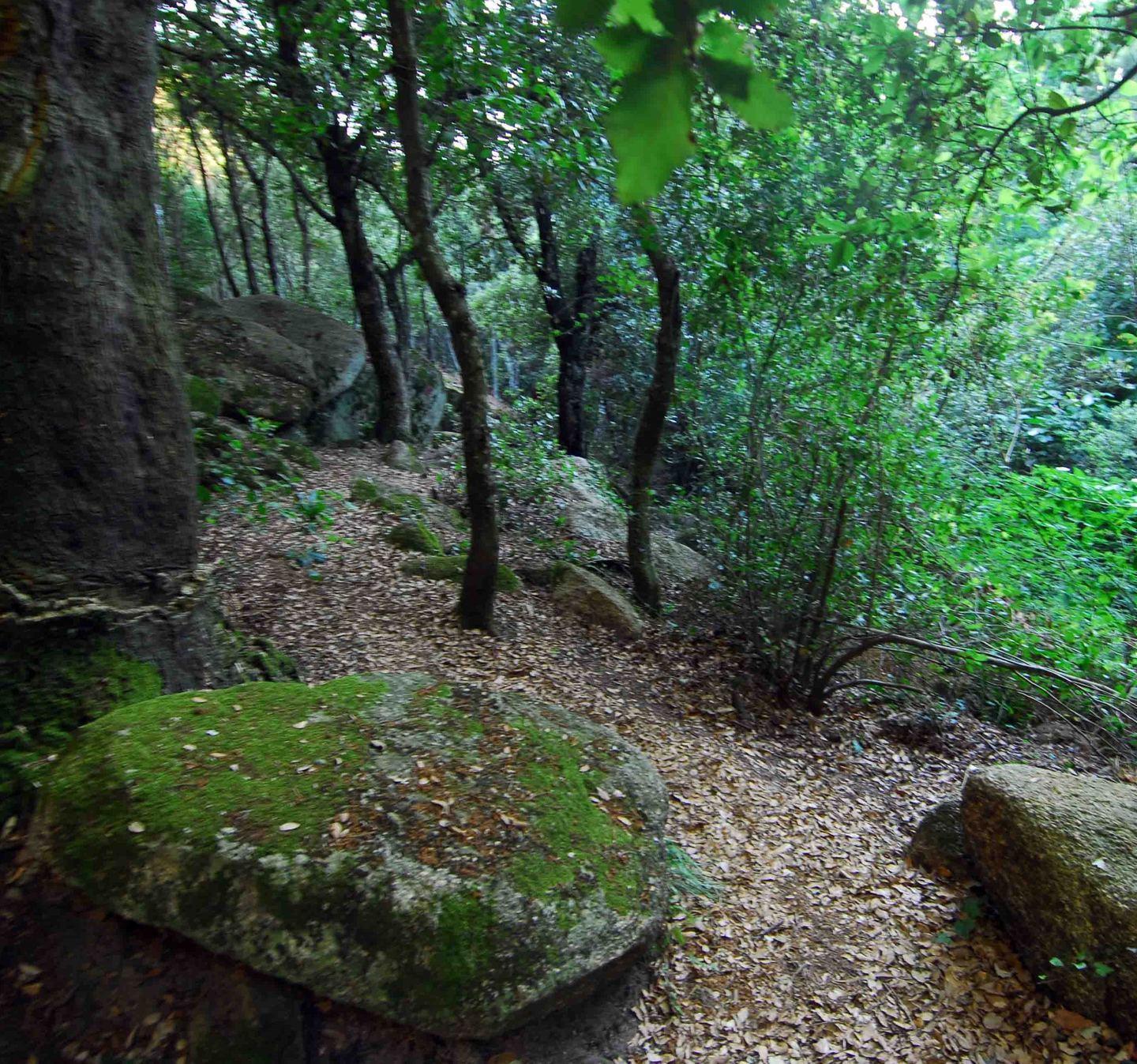 Rivoluzione al monte Corsia preferenziale per i pedoni e le bici 