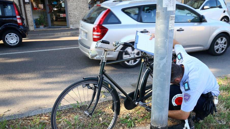 Ferrara, ciclisti imprudenti, più rischi per tutti