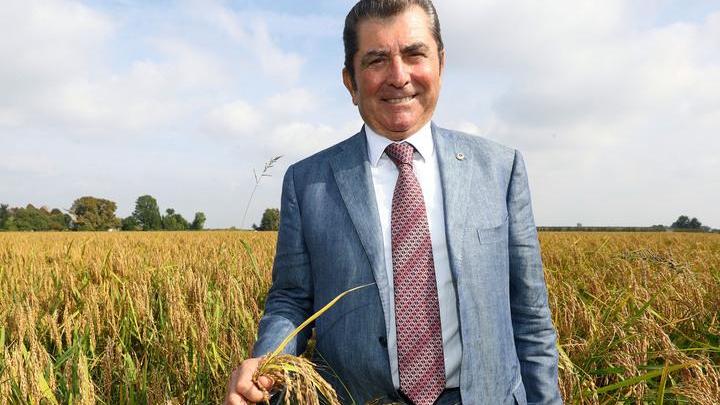 Nuove varietà, lavorazione solo locale. Ecco il “nuovo” disciplinare del riso del Delta Igp