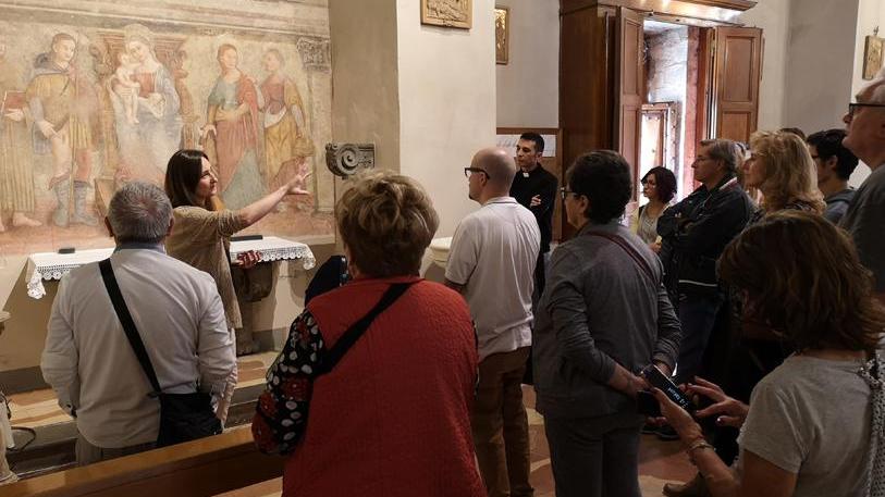 Una visita guidata di Artemia