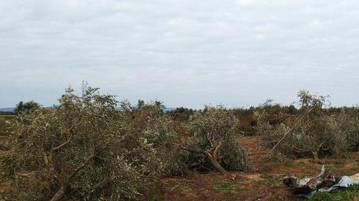 «Dopo due mesi siamo ancora fuori casa» Viaggio tra le macerie della tromba d’aria