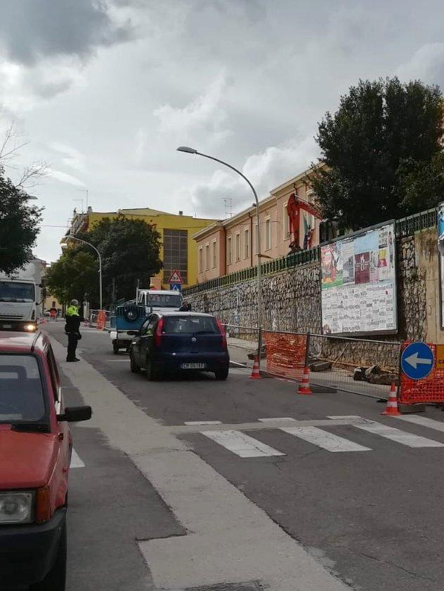 «Parcheggi al posto degli alberi» 