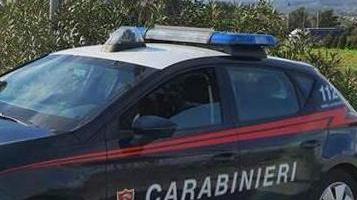 Nascondeva nell’auto due cinghiali morti: fermato dai carabinieri