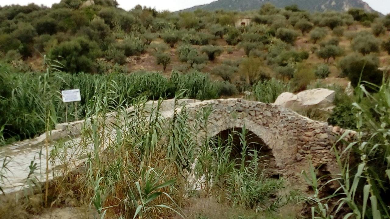 Oliena, l’archeologa: il ponte di Papalope va salvaguardato