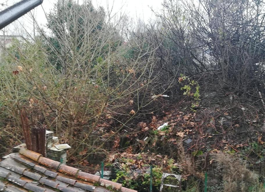 Nell’ex segheria degrado e lastre abbandonate