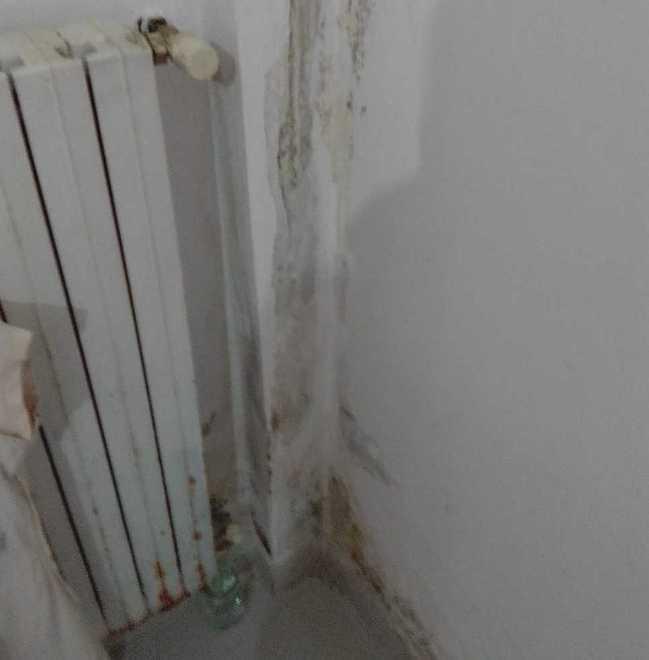 «La casa è inadeguata, per favore trovateci un’altra sistemazione»