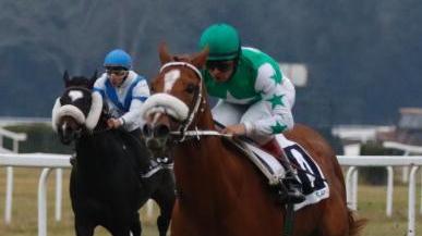 Handicap in steeple a San Rossore Brienne di Tarth regola il gruppo