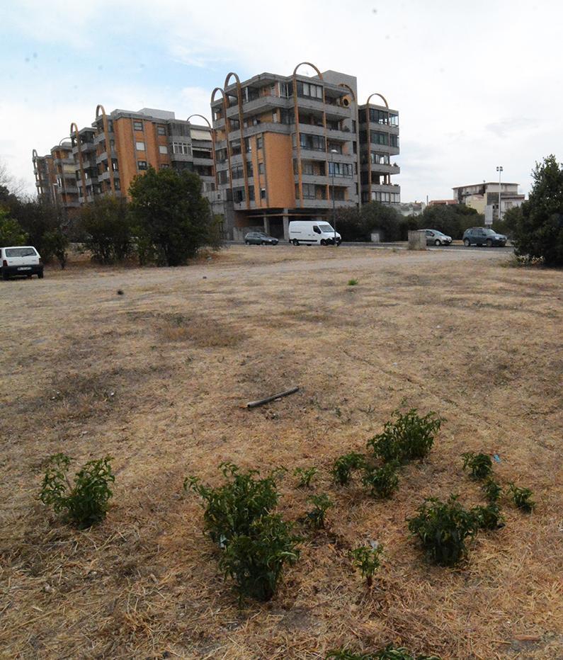 Via Lepanto, il Comune affronterà il comitato 