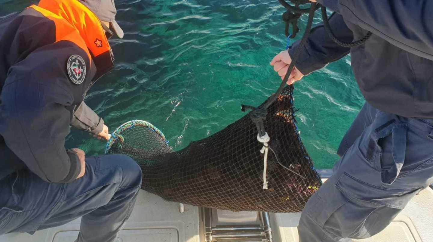 Multato un pescatore abusivo di ricci 