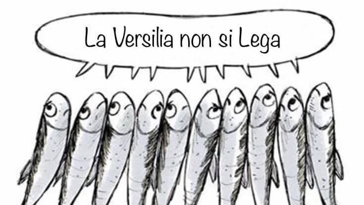 Le Sardine scendono in piazza «Senza partiti»