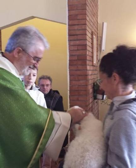 Tutta la Maremma festeggia l’abate protettore degli animali 