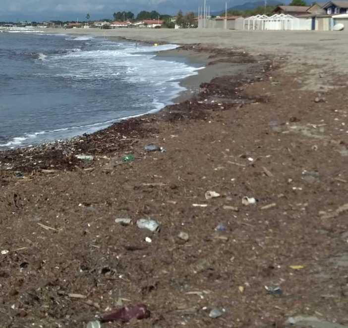 Lo smaltimento del lavarone costa 400mila euro all’anno