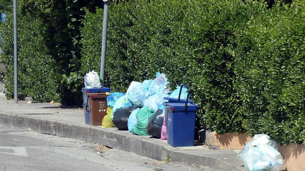 «Raccolta dei rifiuti, per migliorare servono formazione e controlli»