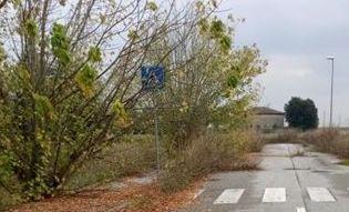 Erba ovunque e strada a pezzi In via Aldo Moro ora si interviene 