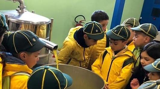 Trenta scout nel frantoio Delogu