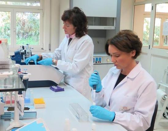 Il dna di Bovale e Cannonau custodito in una banca dati 