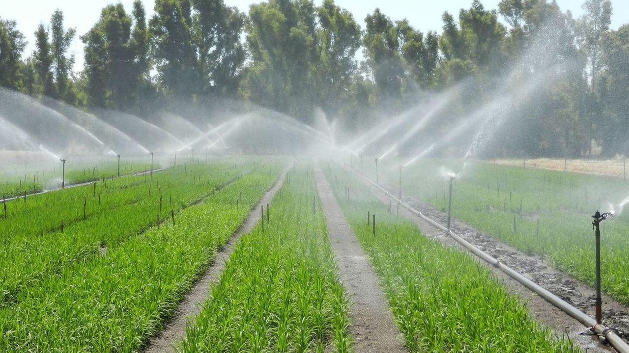Oristano, il Consorzio chiude i rubinetti per gli agricoltori morosi 