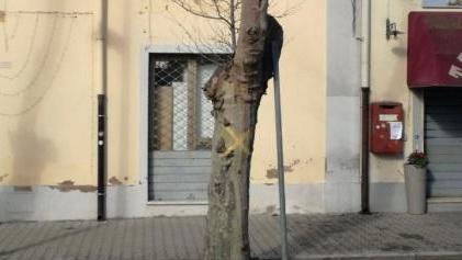 Ancora potature in viale Marconi, proteste per il metodo usato