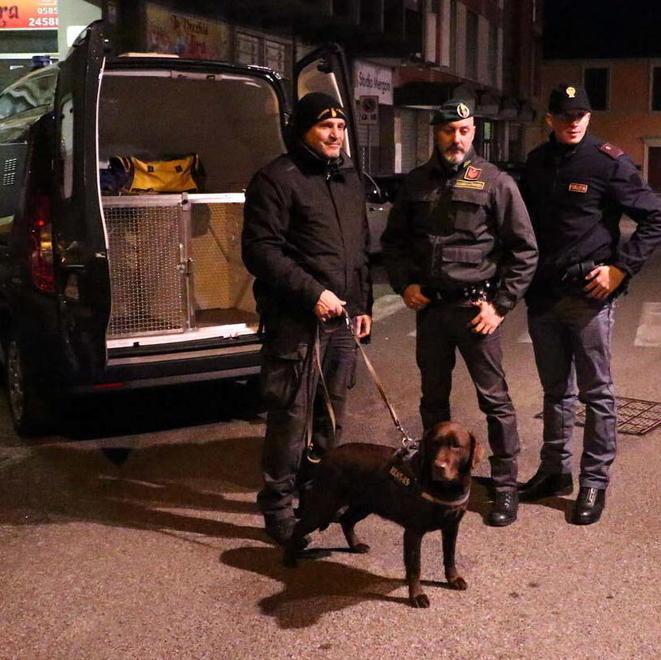 A Massa e Carrara i reati diminuiscono. «In calo furti in appartamento e spaccio» 