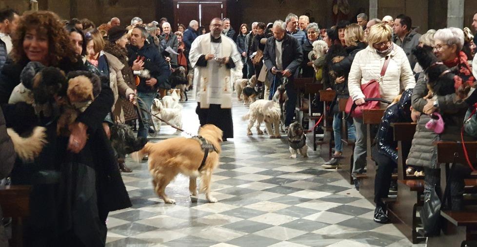 Benedizione degli animali