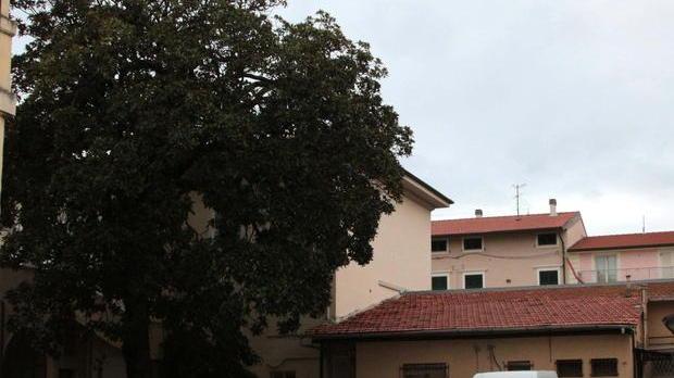Spazio verde da recuperare per Palazzo delle Muse