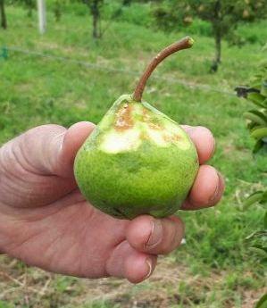 L’agricoltura reagisce a un anno d’inferno «Settore da difendere» 