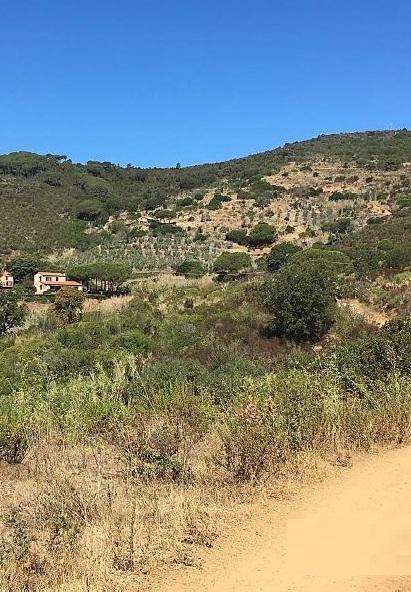 Miniera di Crocetta, il piano va avanti ma Legambiente non vuole arrendersi 