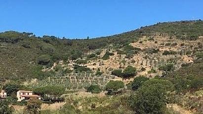 Miniera di Crocetta, il piano va avanti ma Legambiente non vuole arrendersi