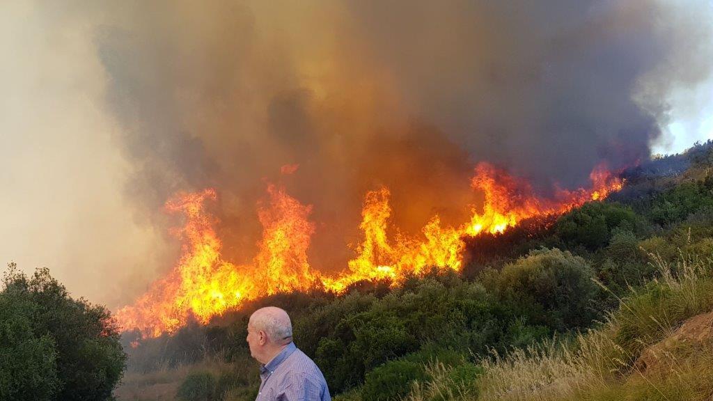 Il sindaco Giancarlo Farnetani sul luogo dell'incendio del 14 luglio 2017 lungo la Panoramica di Castiglione della Pescaia