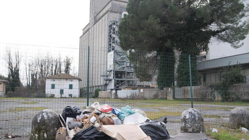 Cumuli di rifiuti abbandonati a San Pietro a Vico