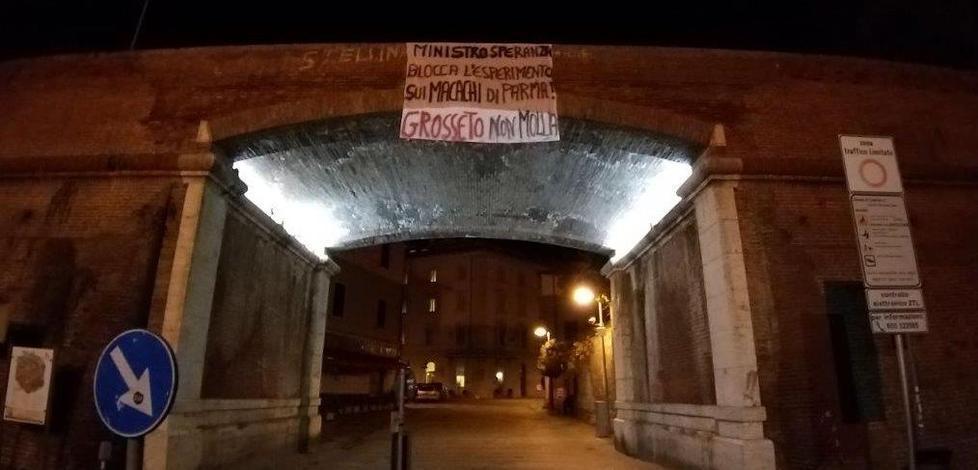 Striscione in centro contro l’uso dei macachi per la ricerca scientifica