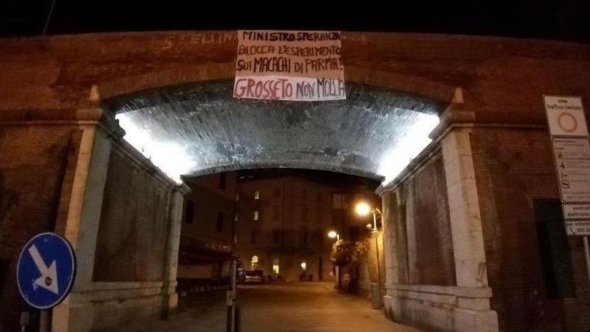 Striscione in centro contro l’uso dei macachi per la ricerca scientifica