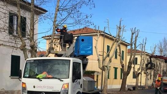 «Nessun problema con i tagli incontreremo le associazioni»