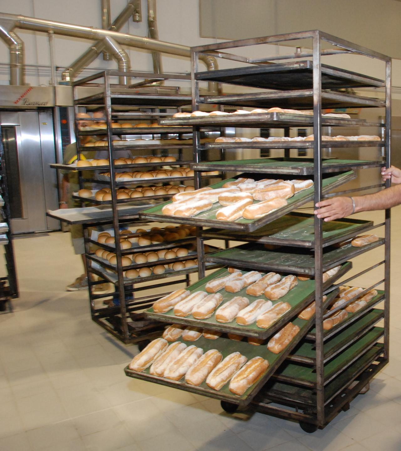 Muore nel panificio dove lavora, il titolare finisce davanti al gup