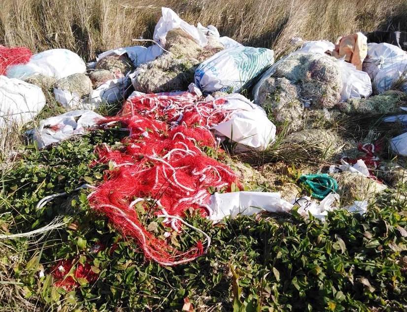 Una discarica sulle rive dello stagno 