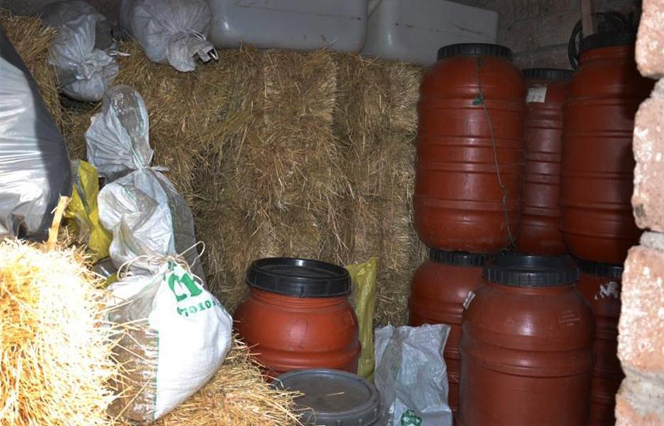 Quintali di marijuana coltivata e spacciata: 33 davanti al giudice 