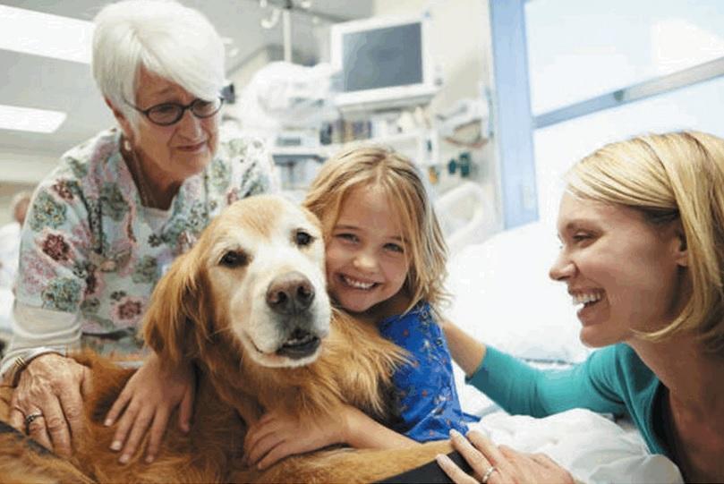 Ospedali aperti a cani e gatti: sul web la petizione vola 