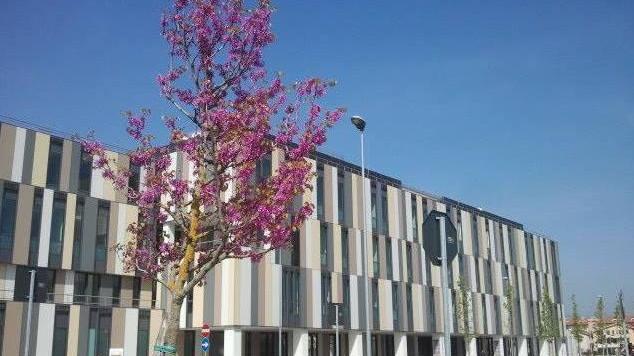 La gestione dell’ospedale di Lucca in mano a un fondo inglese