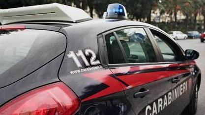Ruba in una villa e tenta di fuggire in Ape: denunciato