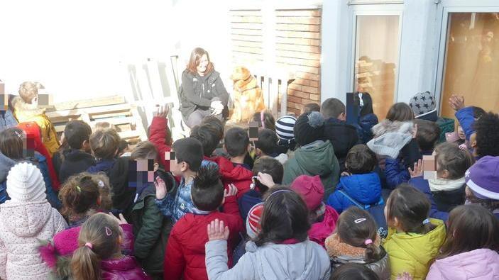 A tu per tu con Fido I bambini imparano ad accarezzare i cani