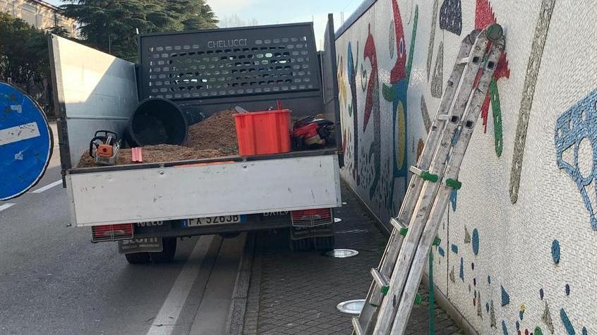 Scala sul Muro di Baj per una potatura un rischio e un’offesa all’arte