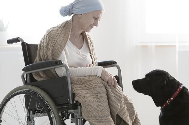 L’ospedale universitario di Sassari: da noi cani e gatti sono i benvenuti in corsia