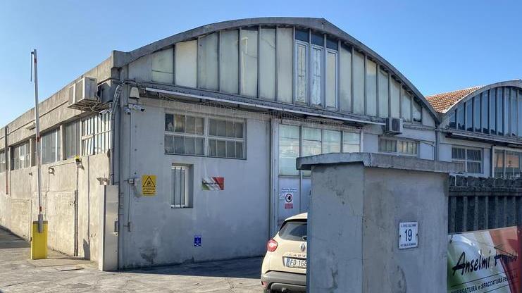 Imprenditore investito da un muletto a 77 anni: ferite gravi a una gamba