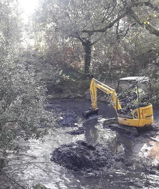 Ripulito il laghetto all’interno della pineta 