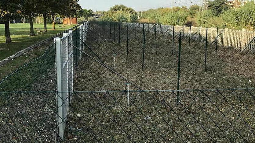 La coop Minerva avrà la gestione degli orti sociali